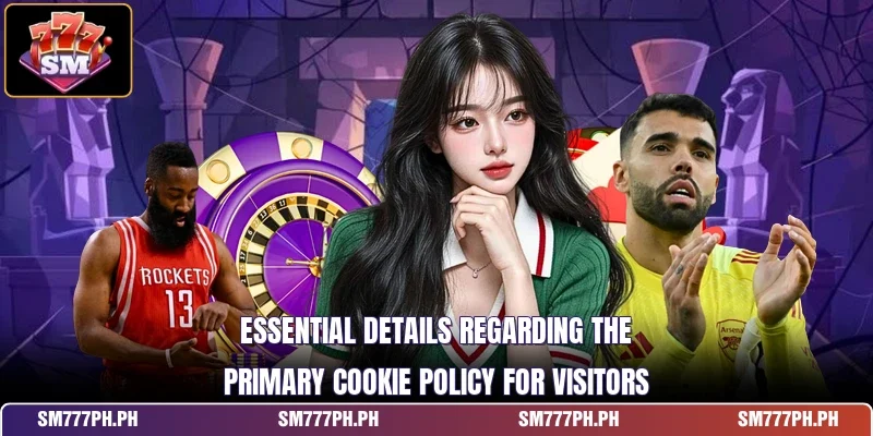 Essential details regarding the primary Cookie Policy for visitors