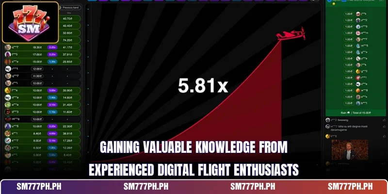Gaining valuable knowledge from experienced digital flight enthusiasts