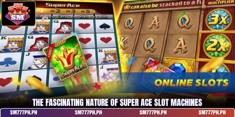 The fascinating nature of Super Ace Slot machines